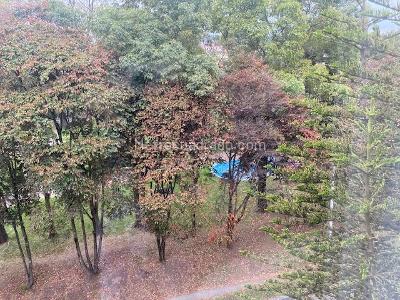 Apartamento de 3 alcobas en venta en Iberia 20, Bogotá, 80 m² · foto 9 de 20