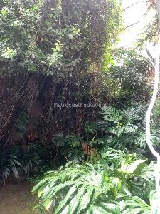 Apartamento en venta en Parque Del Virrey, Bogotá · foto 11 de 20