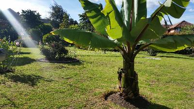 Casa en venta en Canelon, Cajicá · foto 6 de 9