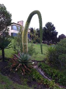Casa de 4 alcobas en venta en Vereda Yerbabuena C 026, Chía, 300 m² · foto 6 de 10