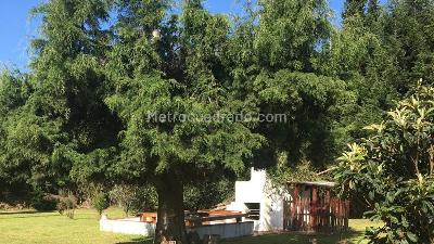 Casa de 3 alcobas en venta en Vereda Fonqueta Código L 037, Chía, 200 m² · foto 5 de 14
