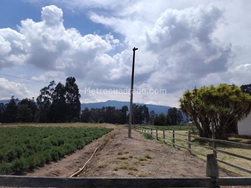Lote en Venta, Vereda Calahorra Código L 042, Cajicá - Vista 3