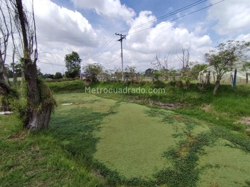 Lote en Venta, Vereda Calahorra Código L 042, Cajicá - Vista 5