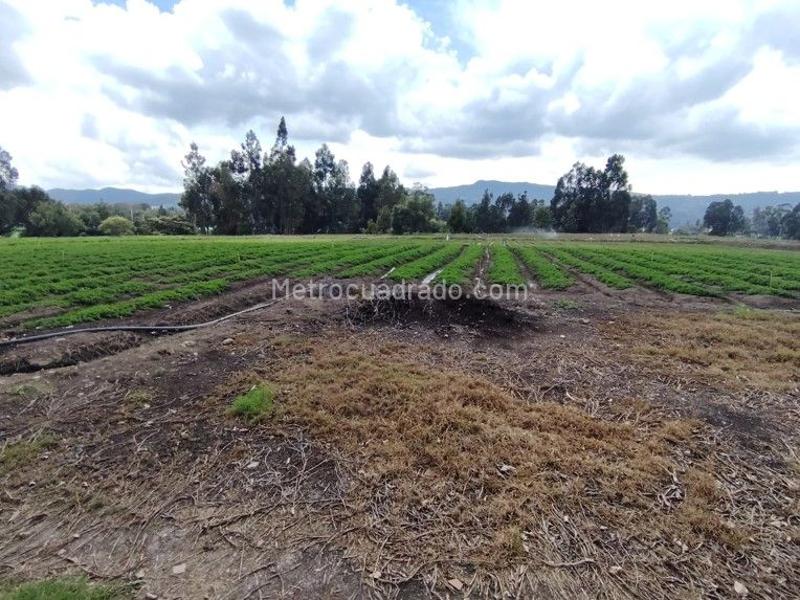 Lote en Venta, Vereda Calahorra Código L 042, Cajicá - Más