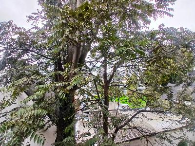 Apartamento de 3 alcobas en arriendo en Andes Norte, Bogotá, 106 m² · foto 2 de 20