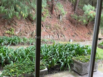 Apartamento en venta en Los Rosales, Bogotá · foto 11 de 20