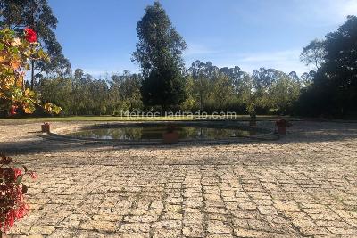 Casa de 4 alcobas en venta en Mosquera, Mosquera, 980 m² · foto 4 de 20