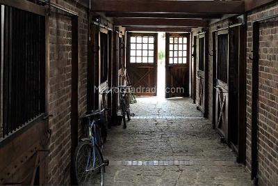 Casa de 4 alcobas en venta en Mosquera, Mosquera, 980 m² · foto 14 de 20