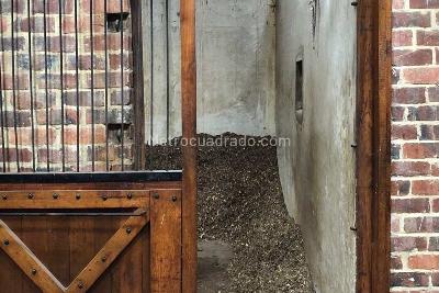 Casa de 4 alcobas en venta en Mosquera, Mosquera, 980 m² · foto 15 de 20