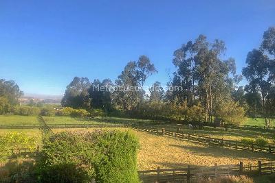 Casa de 4 alcobas en venta en Mosquera, Mosquera, 980 m² · foto 20 de 20