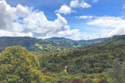 Casa en arriendo en Arboretto, La Calera · foto 2 de 20