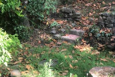 Casa en venta en Bosque De Pinos, Bogotá · foto 13 de 17