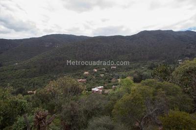 Casa de 5 alcobas en venta en Floresta De La Sabana, Bogotá · foto 19 de 20
