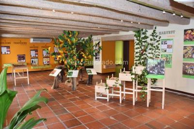 Casa de 3 alcobas en venta en El Centro, Cartagena, 166 m² · foto 2 de 10