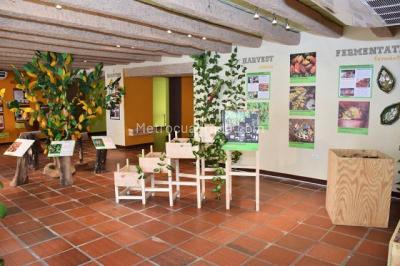 Casa de 3 alcobas en venta en El Centro, Cartagena, 166 m² · foto 6 de 10