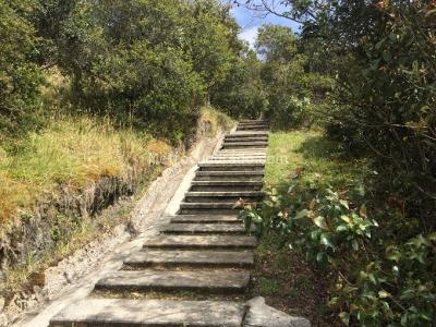 Casa en venta en Vereda El Hato, La Calera · foto 10 de 10