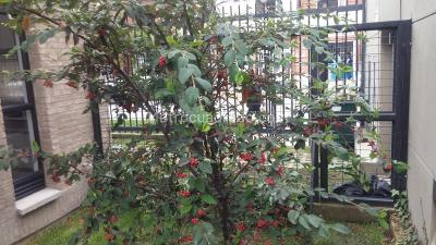 Casa en venta en Armenia, Bogotá · foto 6 de 20