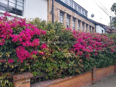 Casa de 5 alcobas en venta en Galerias, Bogotá, 450 m² · foto 10 de 20