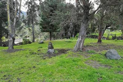 Casa de 5 alcobas en venta en La Calera, Bogotá, 380 m² · foto 10 de 19