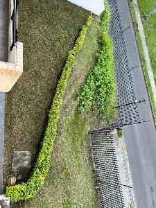 Casa de 4 alcobas en venta en Aguacatal, Cali, 392 m² · foto 11 de 20