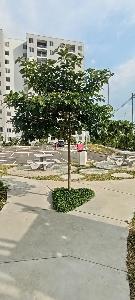 Apartamento de 2 alcobas en venta en Bochalema, Cali, 60 m² · foto 15 de 18
