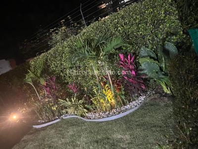 Casa de 4 alcobas en venta en Pance, Cali, 254 m² · foto 6 de 12