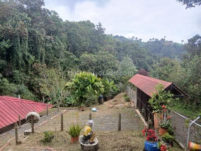 Casa de 3 alcobas en venta en Parcelacion Terrazas Del 18, Cali, 1080 m² · foto 7 de 20