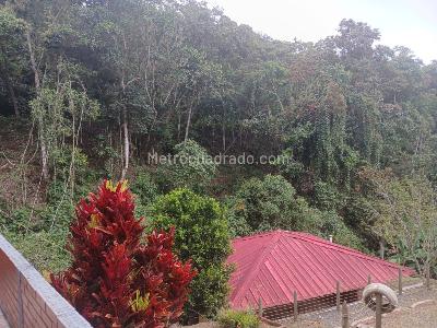 Casa de 3 alcobas en venta en Parcelacion Terrazas Del 18, Cali, 1080 m² · foto 9 de 20
