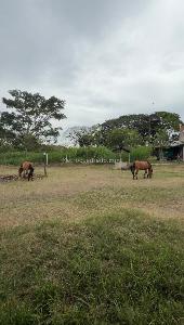 Casa de 5 alcobas en venta en Zona Franca Del Pacifico, Palmira, 500 m² · foto 3 de 15