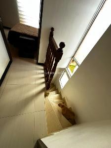 Casa en venta en Villa Magdala, Bogotá · foto 18 de 18