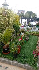 Casa en venta en Morato, Bogotá · foto 17 de 19