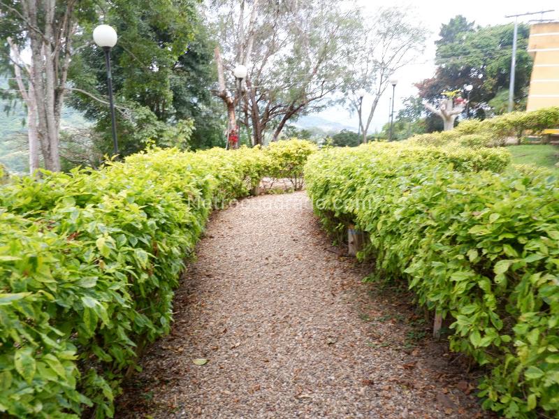 Finca en Venta, ARBELAEZ VEREDA SAN ROQUE, Arbelaez - Pohľad 2