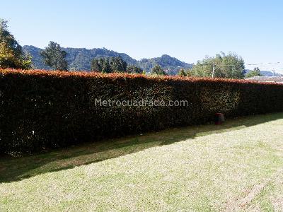 Apartamento de 1 alcoba en venta en Chia Vereda La Balsa, Chía, 61 m² · foto 20 de 20