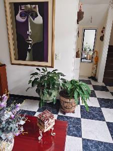 Casa de 5 alcobas en venta en La Esmeralda, Bogotá, 175 m² · foto 4 de 20