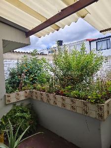 Casa de 3 alcobas en venta en Villa Luz, Bogotá, 175 m² · foto 11 de 20