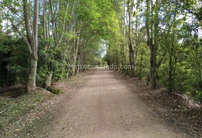 Casa en venta en Cajica, Cajicá · foto 17 de 19