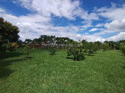 Casa de 5 alcobas en venta en Rozo Palmira, Palmira, 1000 m² · foto 20 de 20