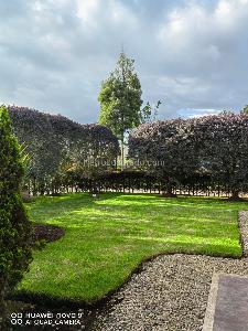 Casa en venta en Hacienda San Sebastian, Bogotá · foto 6 de 20