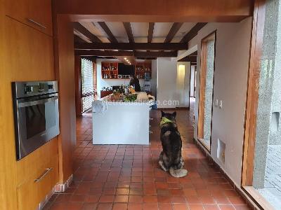 Casa de 5 alcobas en arriendo en San Jose De Bavaris, Bogotá, 780 m² · foto 12 de 20