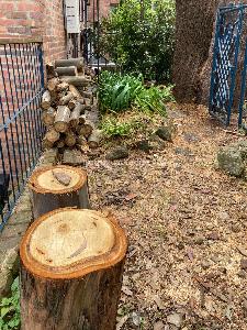 Apartamento en venta en Bosque De Pinos, Bogotá · foto 19 de 19