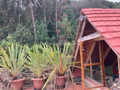 Apartamento en venta en Bosque De Pinos, Bogotá · foto 18 de 19