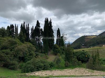Casa en arriendo en Balcones De Buenavista, Cajicá · foto 12 de 20