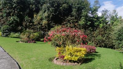 Casa en venta en Centro, Cajicá · foto 4 de 5
