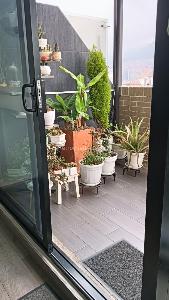 Apartamento de 3 alcobas en venta en Teusaquillo, Bogotá, 118 m² · foto 3 de 19