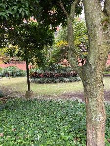 Apartamento de 3 alcobas en venta en Aguacatal, Cali, 240 m² · foto 12 de 20