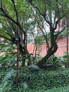 Apartamento de 3 alcobas en venta en Aguacatal, Cali, 240 m² · foto 16 de 20