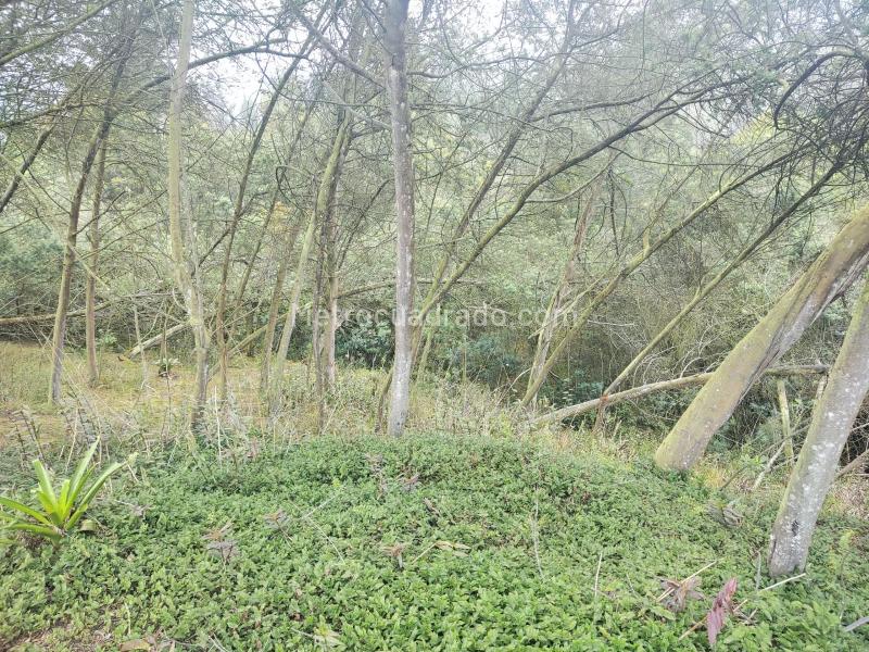 Lote en Venta, Vereda el charquito, Soacha - Vista 3