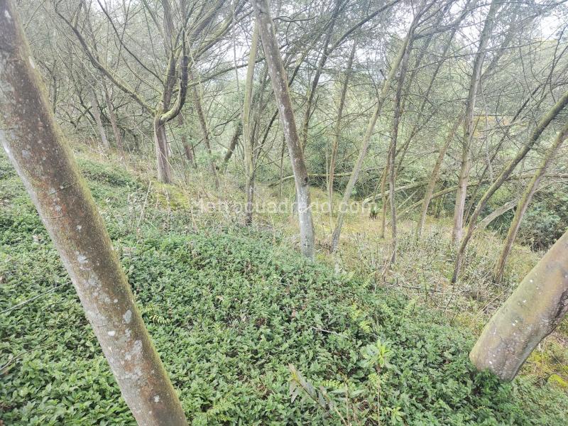 Lote en Venta, Vereda el charquito, Soacha - Vista 4