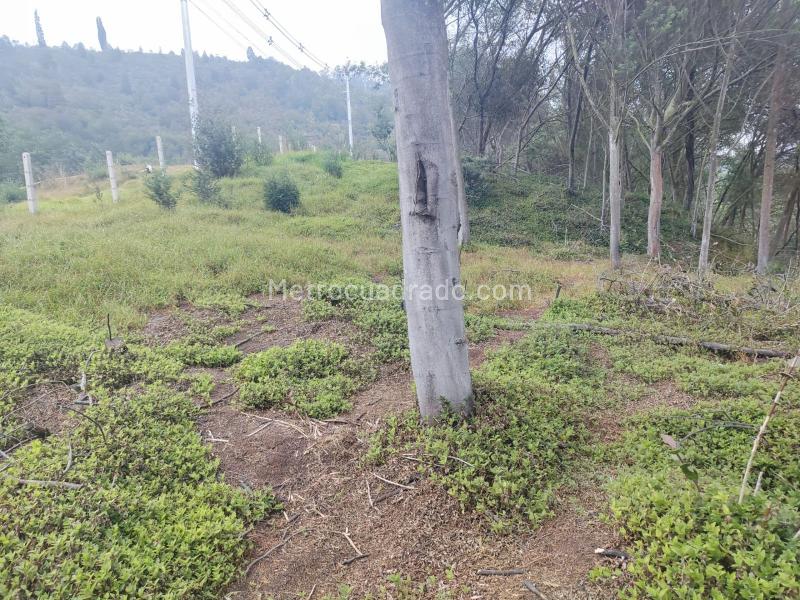Lote en Venta, Vereda el charquito, Soacha - Vista 5
