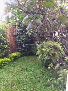 Casa en venta en Los Alcazares, Bogotá · foto 13 de 13